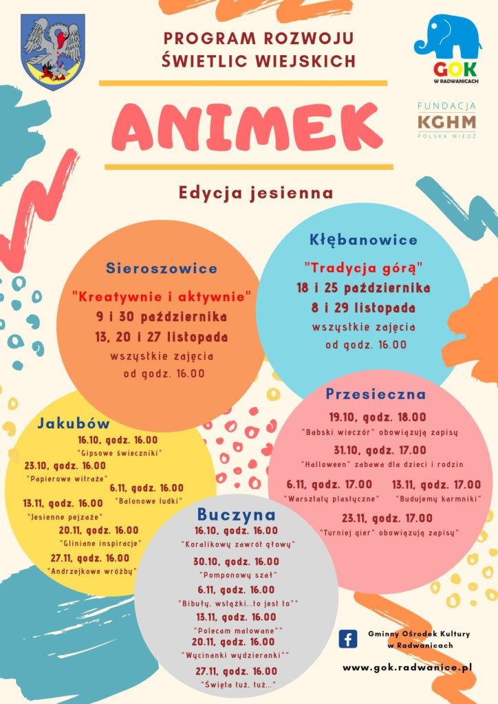 "ANIMEK" program rozwój świetlic wiejskich w Gminie Radwanice - zdjęcie 2